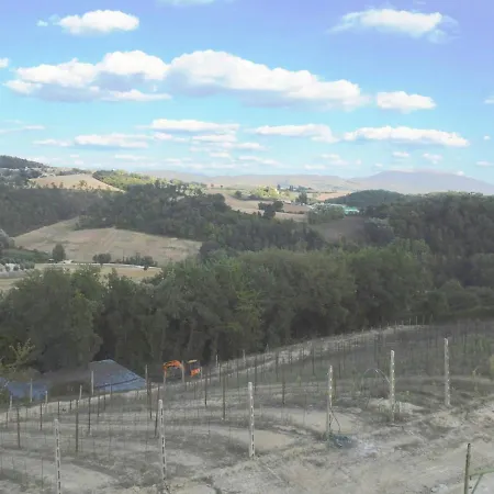 Podere Caldaruccio La Pineta - Torretta