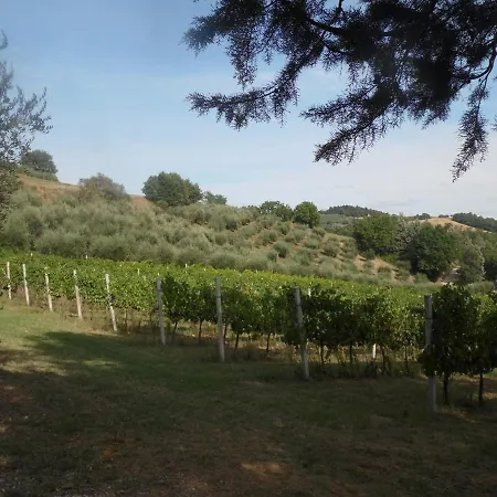 Podere Caldaruccio La Pineta - Torretta Lejlighed Ramazzano - Le Pulci