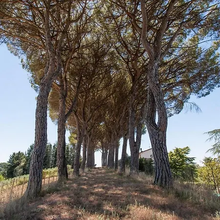 Apartment Podere Caldaruccio La Pineta - Torretta