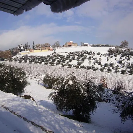 Podere Caldaruccio La Pineta - Torretta Apartment Ramazzano - Le Pulci