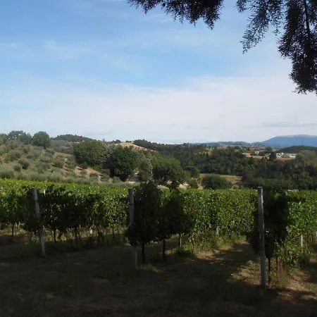 Lejlighed Podere Caldaruccio La Pineta - Torretta Ramazzano - Le Pulci
